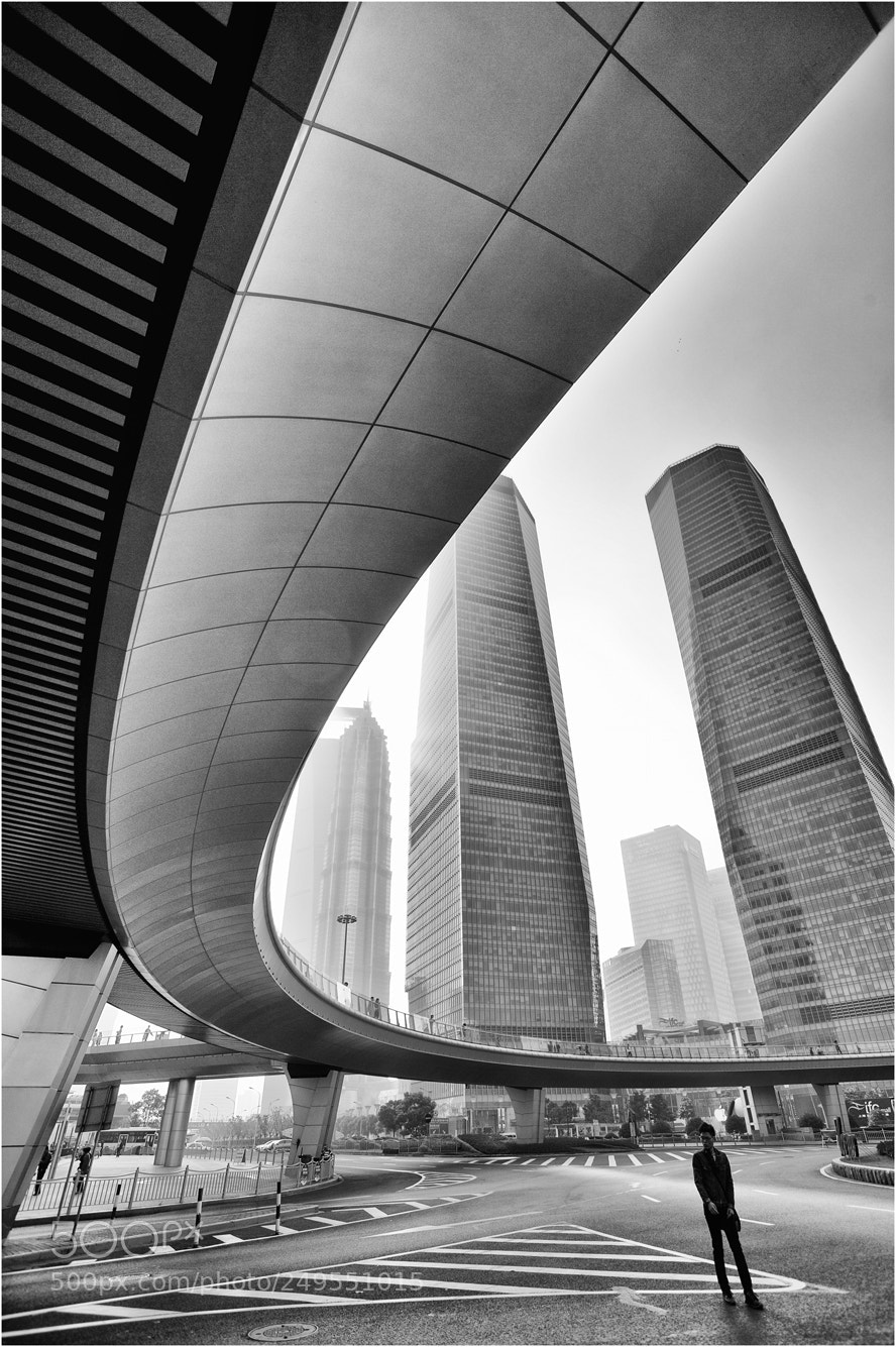 Nikon D700 sample photo. Shanghai building(2) photography