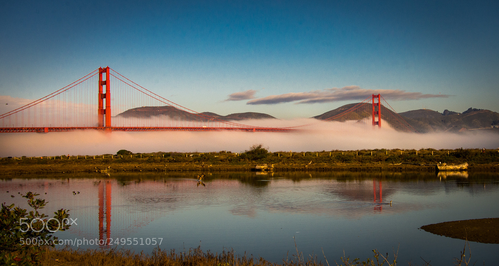 Nikon D7200 sample photo. Goldengate reflection photography
