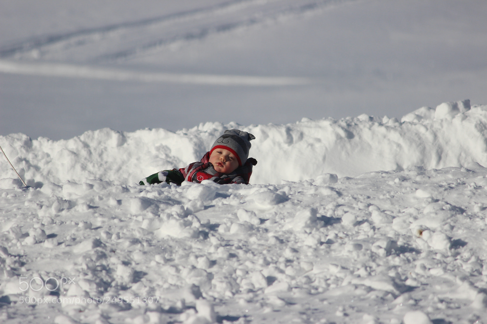 Canon EF-S 55-250mm F4-5.6 IS II sample photo. Lost in snow photography