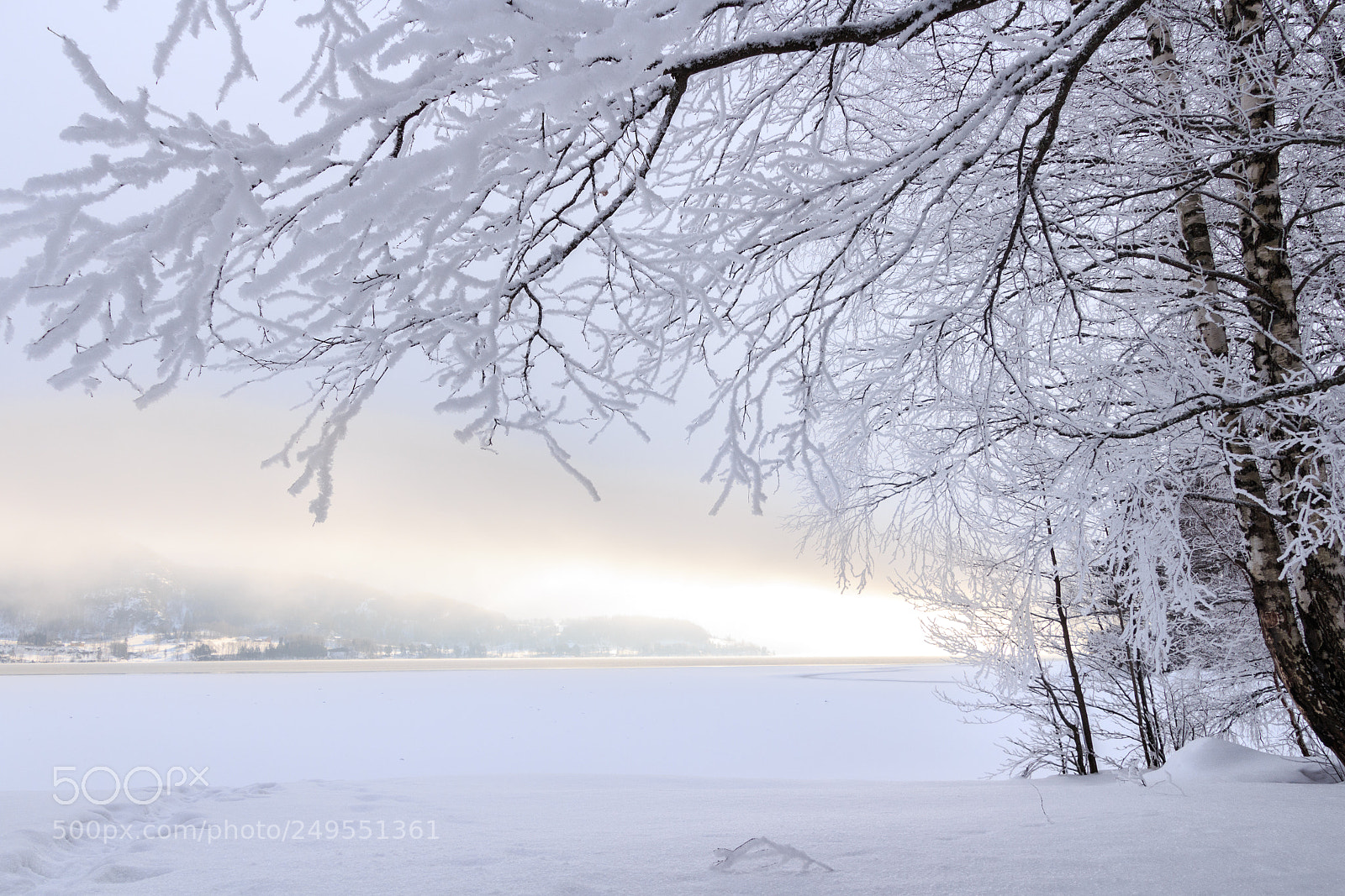 Canon EOS 700D (EOS Rebel T5i / EOS Kiss X7i) sample photo. Frozen photography
