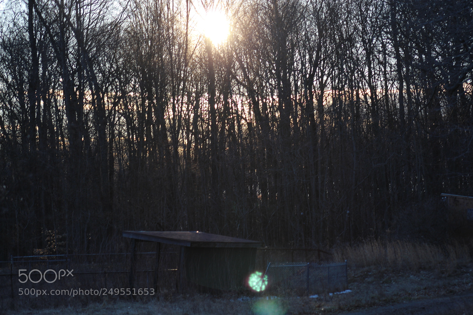 Canon EF 75-300mm f/4-5.6 sample photo. Untitled photography