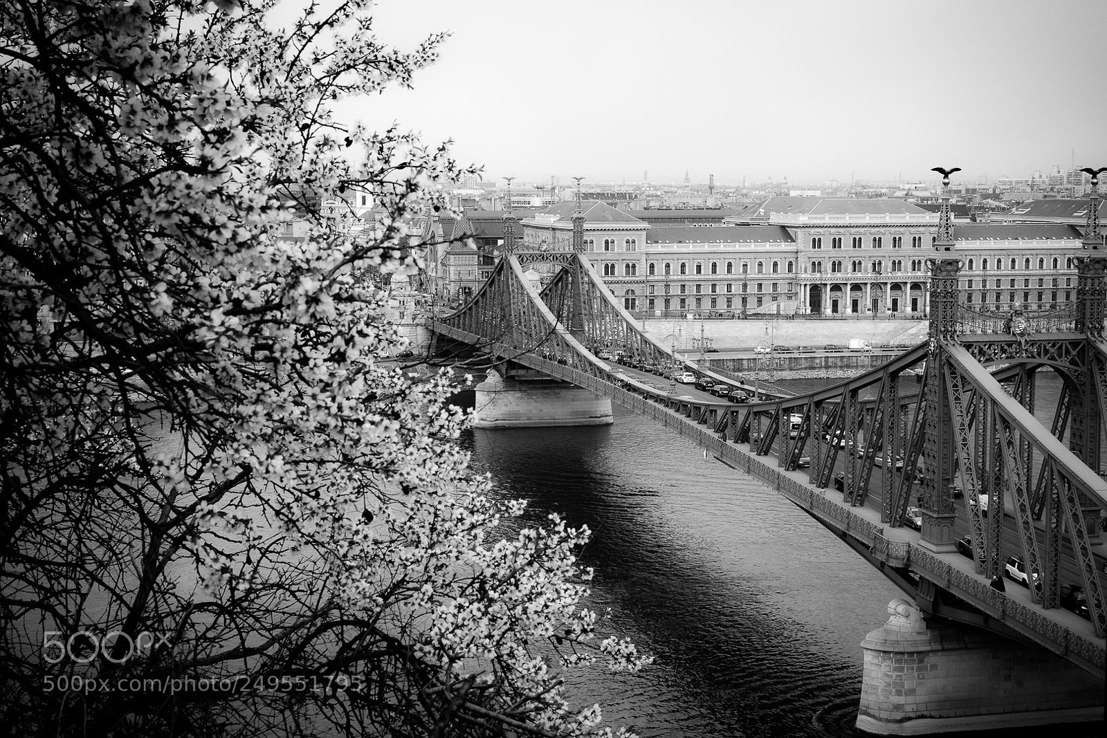 Nikon D7100 sample photo. Budapest anno photography