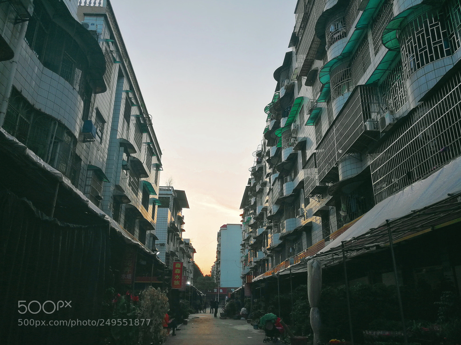 HUAWEI P10 Plus sample photo. 一瞥 photography