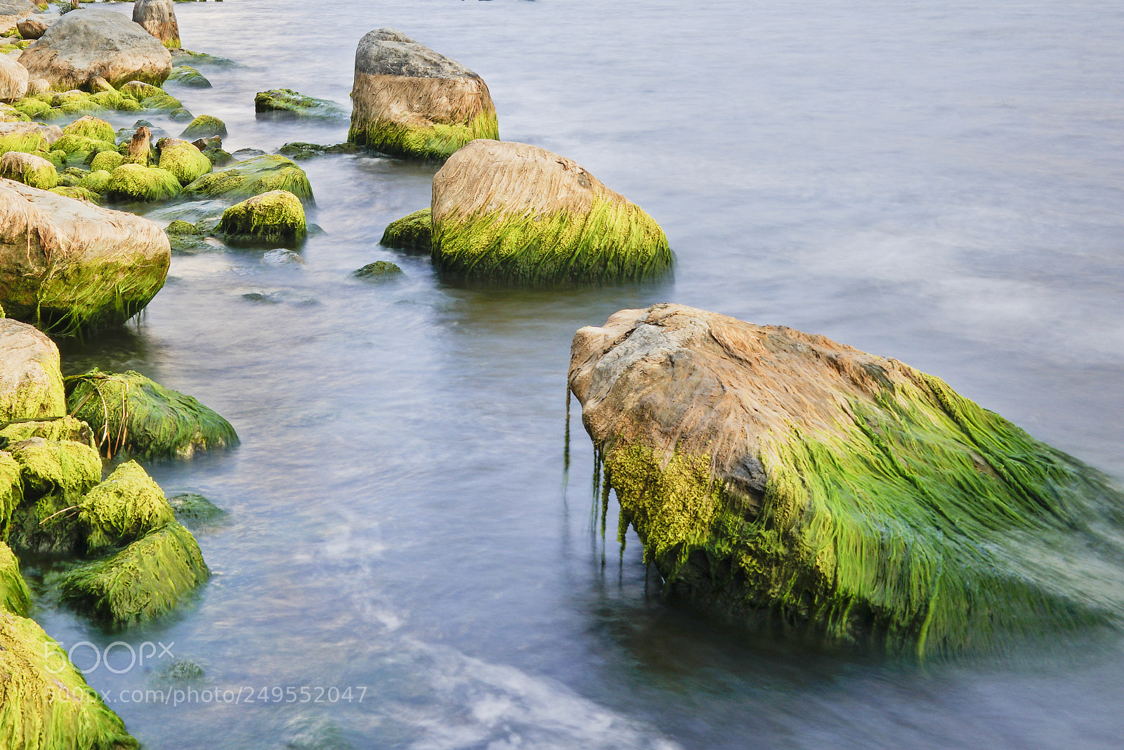 Sony a7R II sample photo. 大理-4 photography