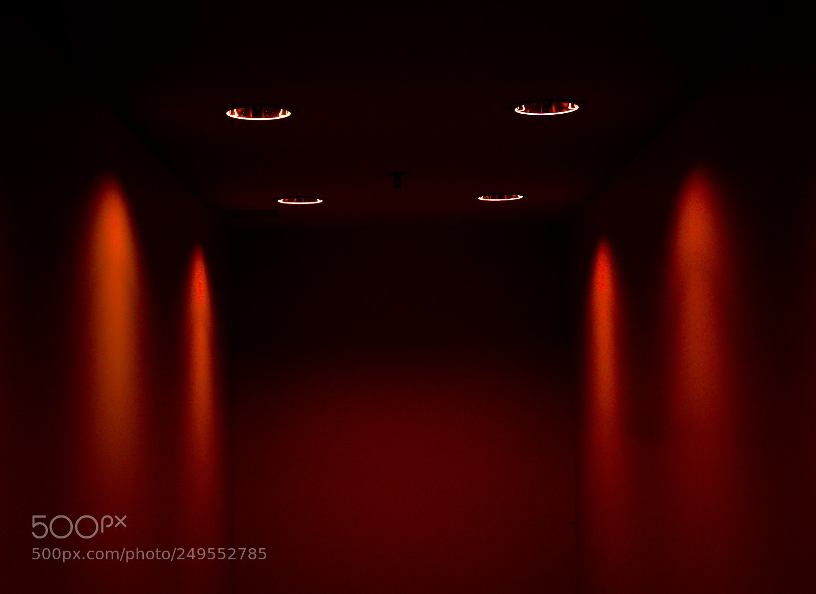 Nikon D5200 sample photo. Black and red photography