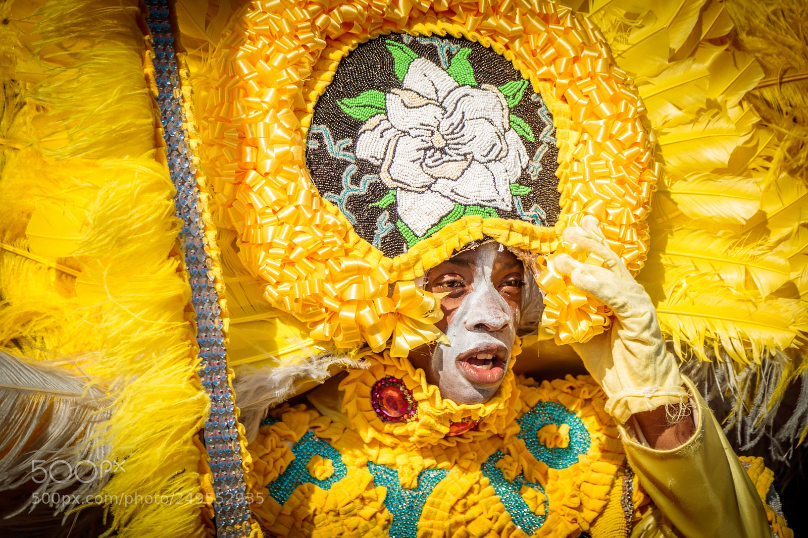 Canon EOS 80D sample photo. Happy mardi gras photography
