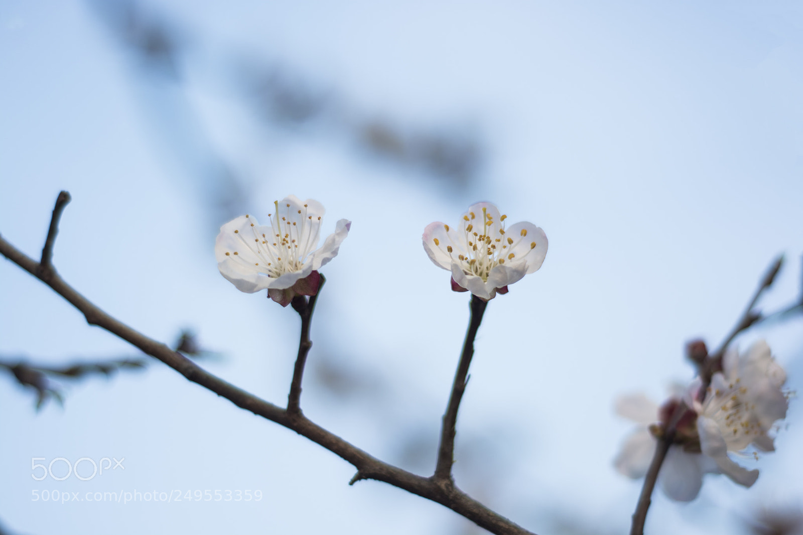 Nikon D7100 sample photo. Untitled photography