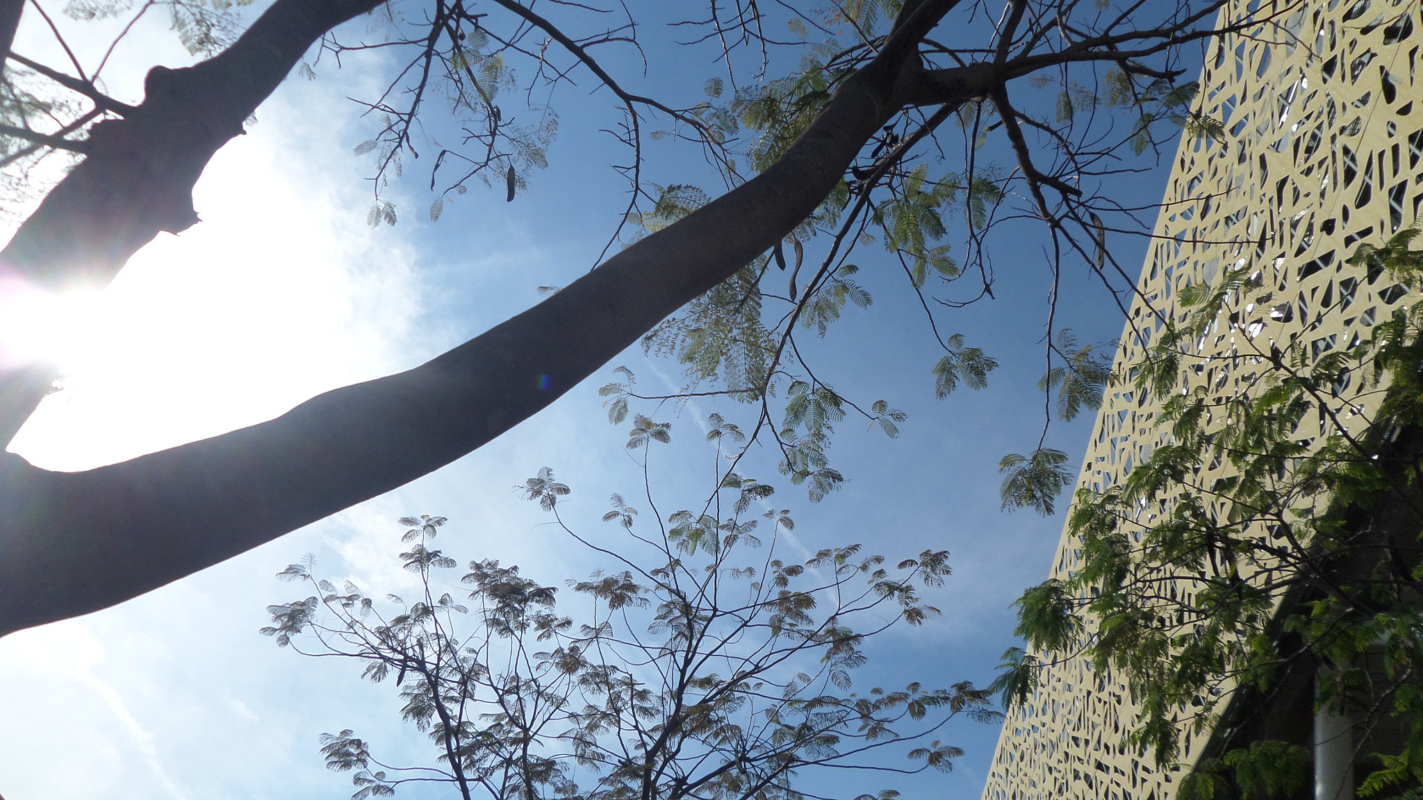 Samsung WB30F/WB31F/WB32F sample photo. ... photography