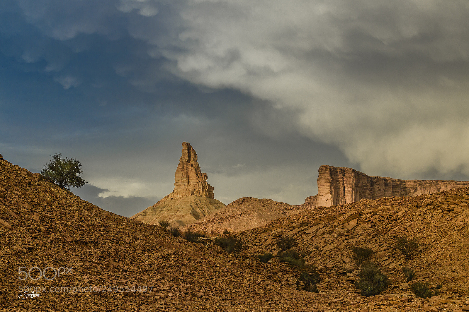 Nikon D5 sample photo. The stand mountian photography
