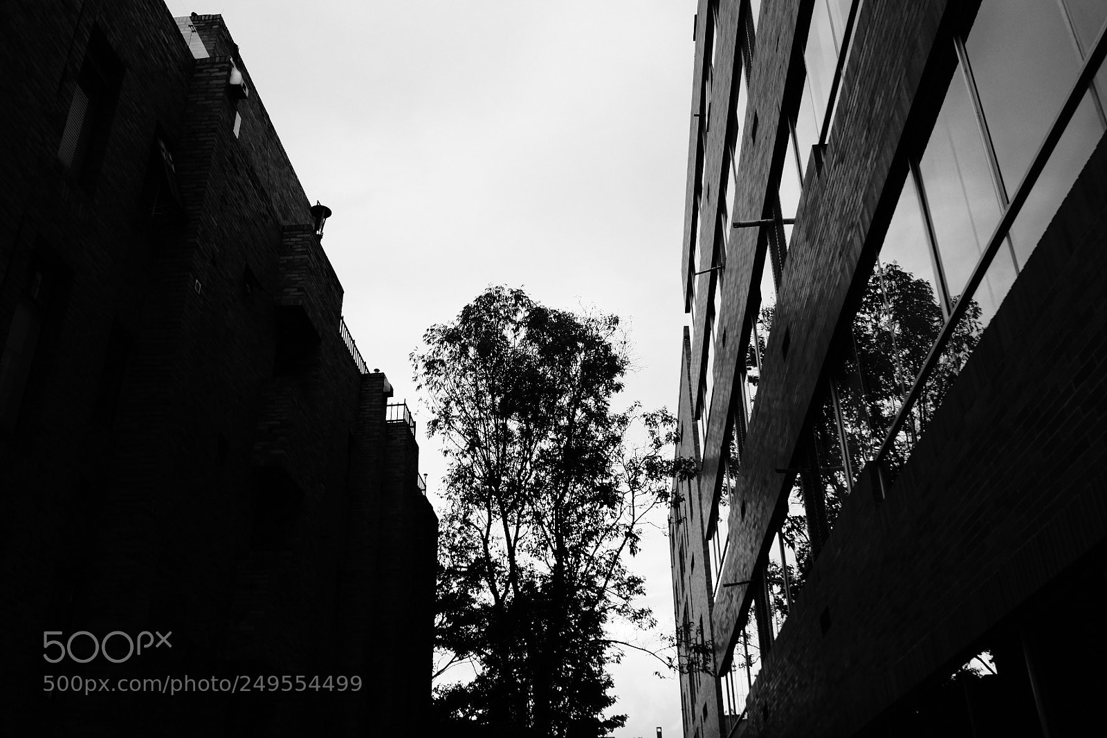 Fujifilm X-T20 sample photo. Untitled photography