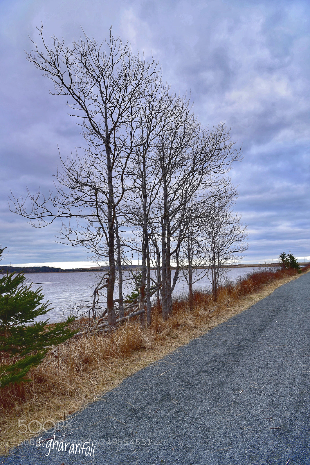 Nikon D810 sample photo. Lawrence town nova scotia photography