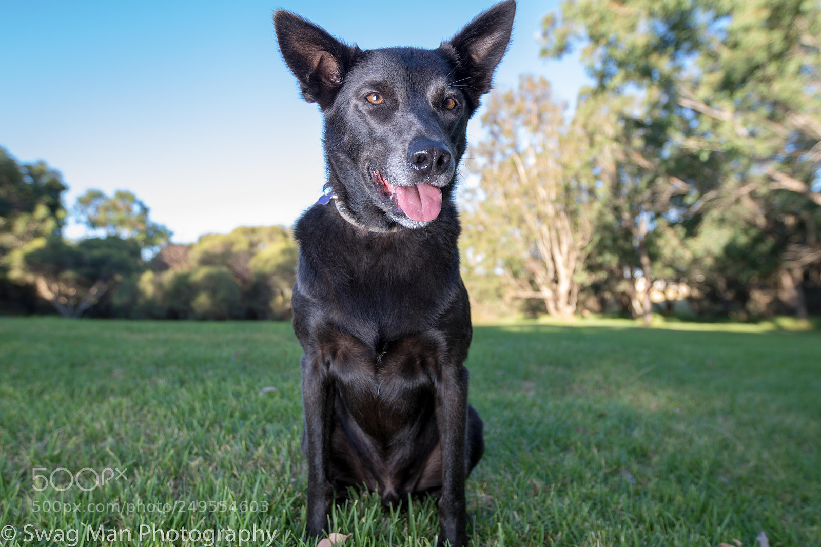 Canon EOS 7D Mark II sample photo. Benny photography