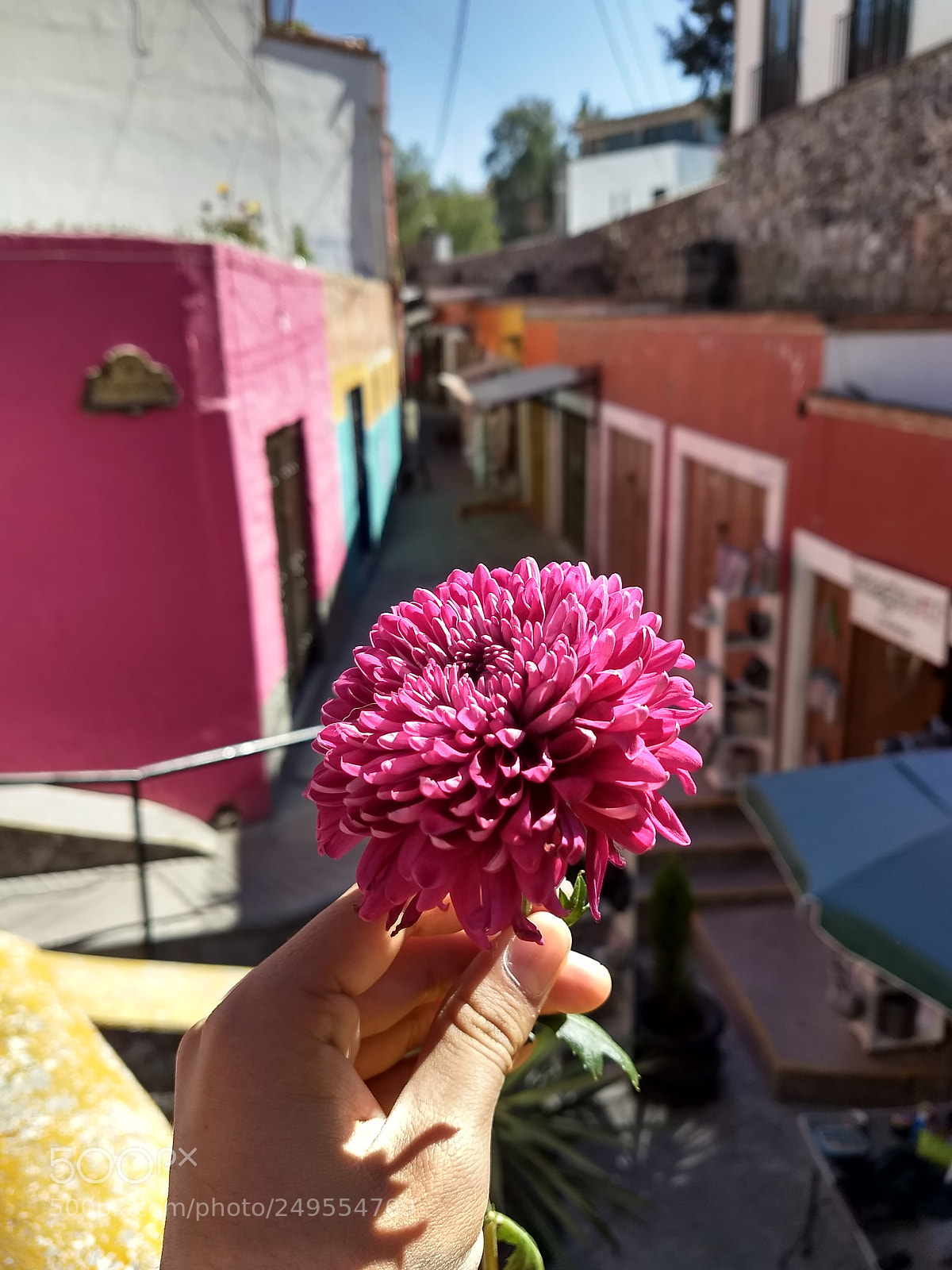 Motorola Moto Z (2) Play sample photo. Untitled photography
