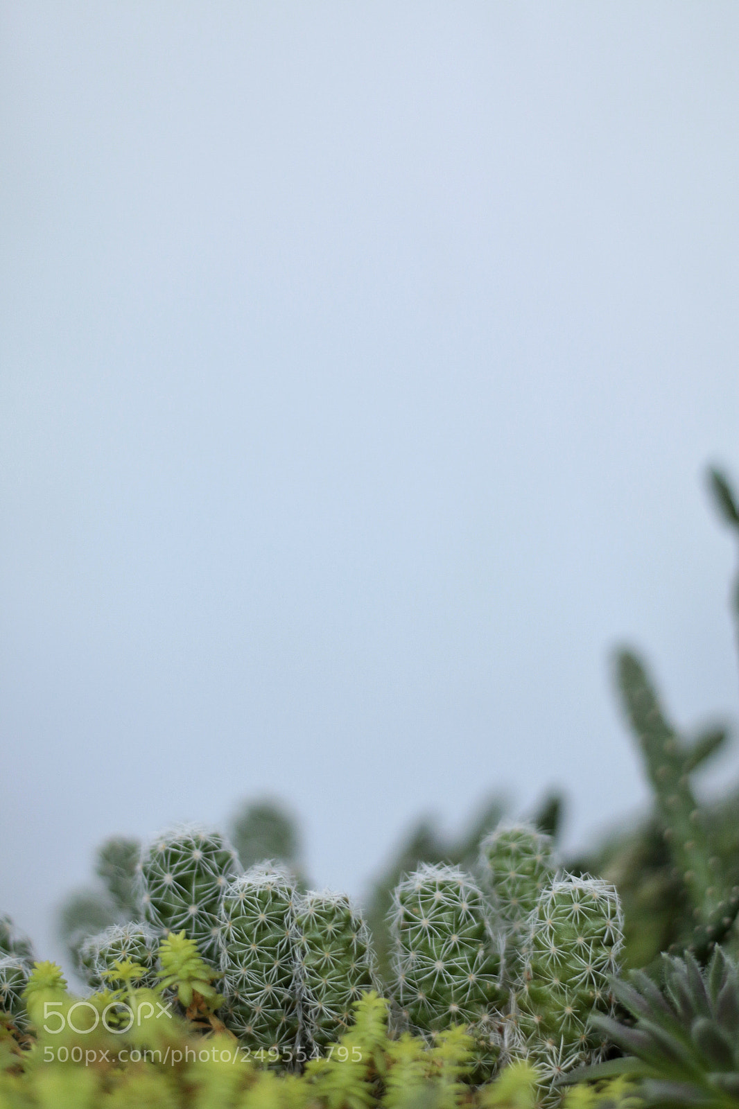 Canon EOS 70D sample photo. Untitled photography