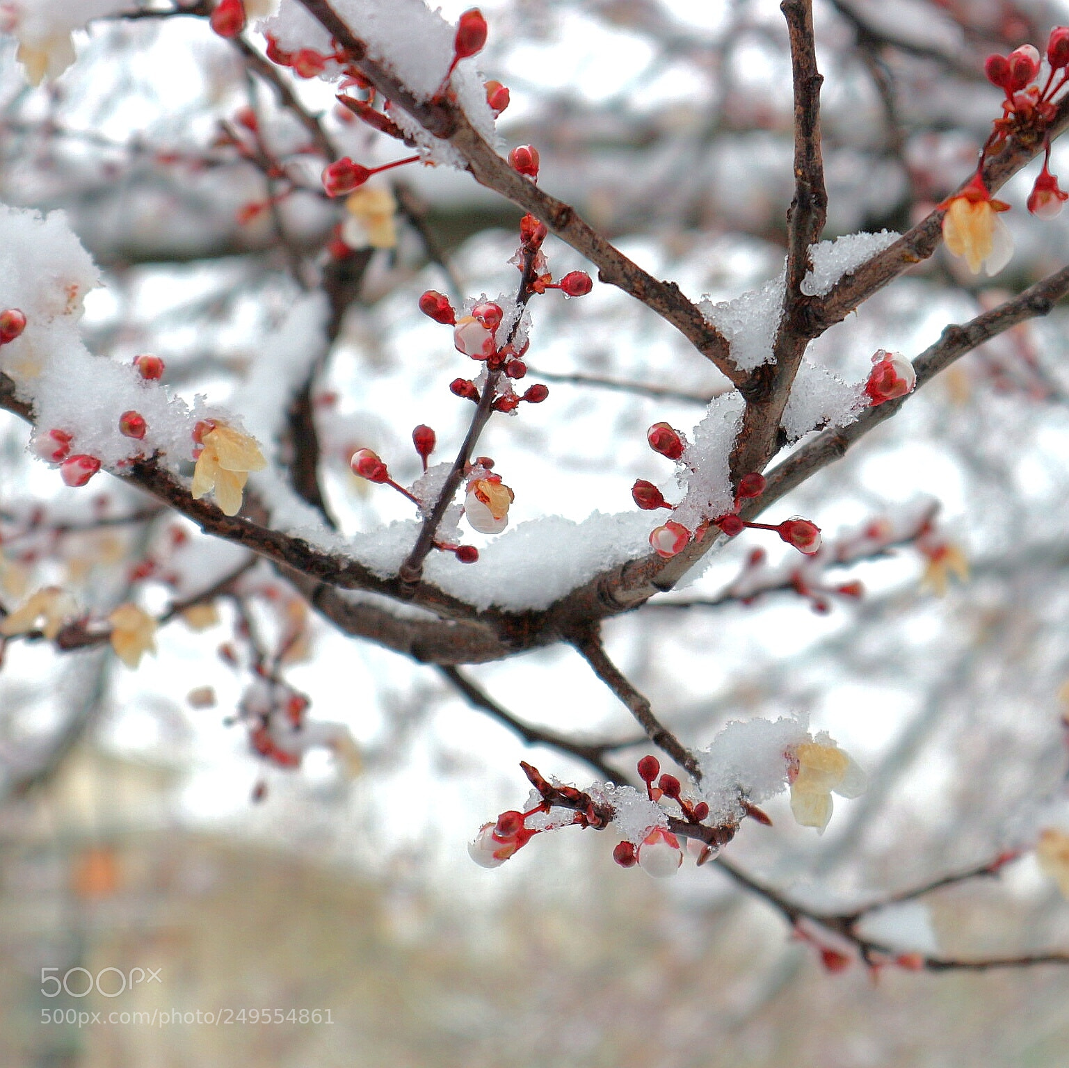 Canon EOS M10 sample photo. Untitled photography