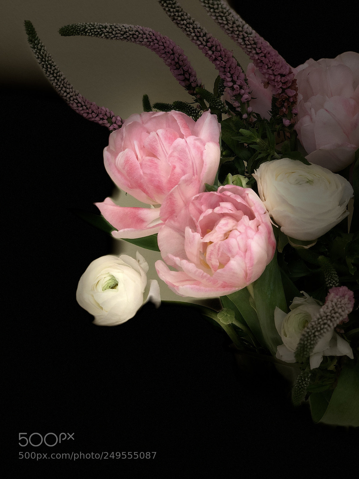 Apple iPhone X sample photo. Flower in my class photography