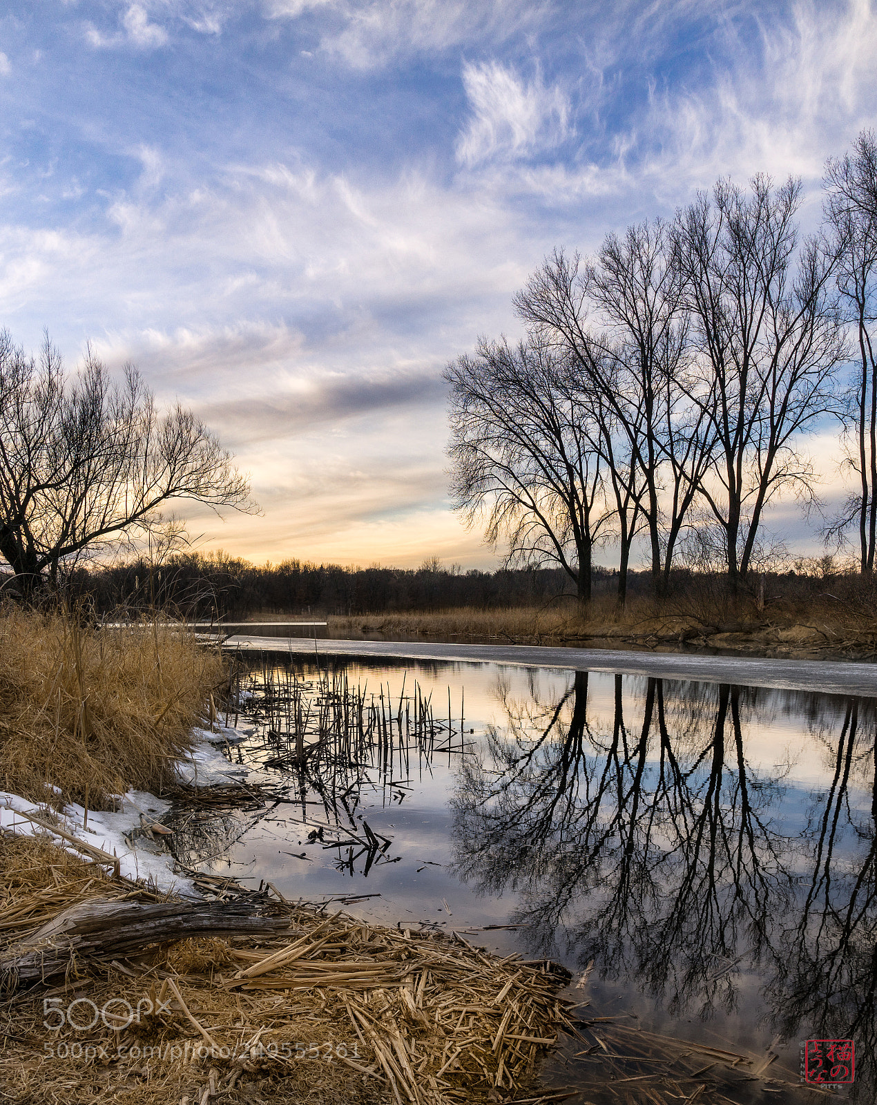 Sony a7 sample photo. Marshy afternoon photography