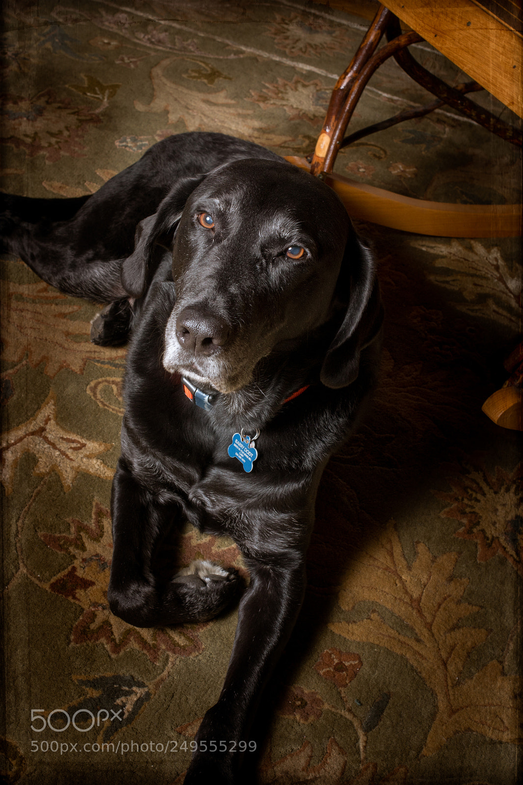 Nikon D7500 sample photo. Huey photography