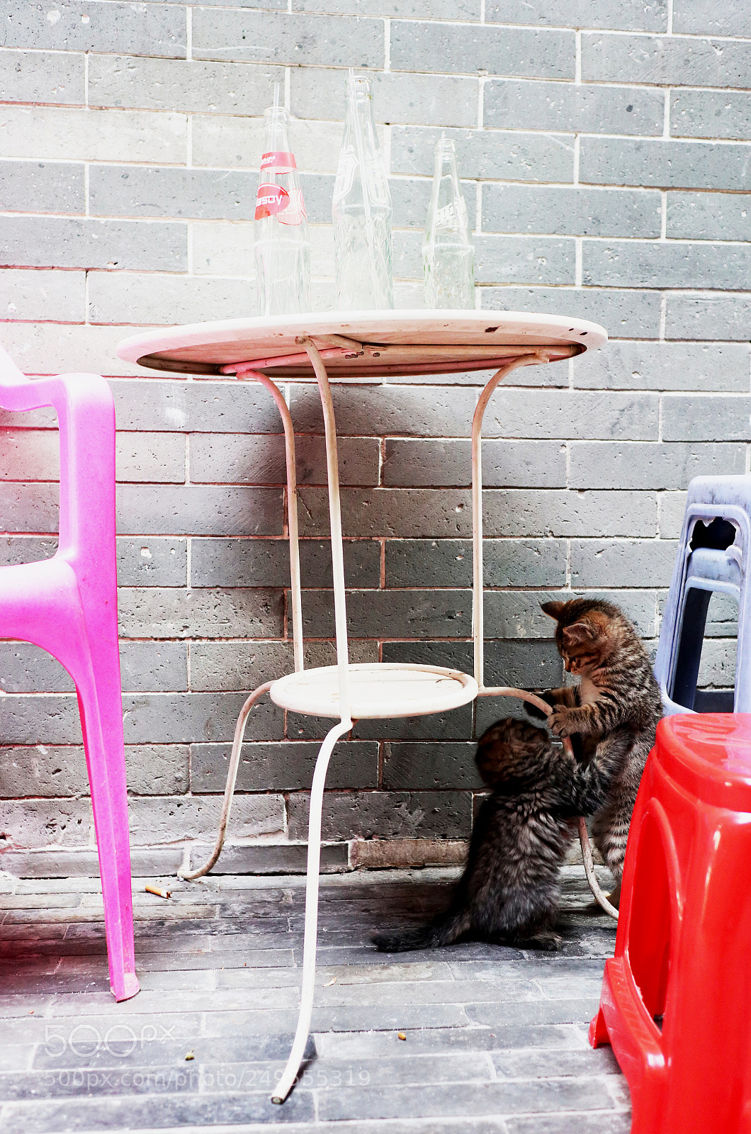 Canon EOS M6 sample photo. Img photography