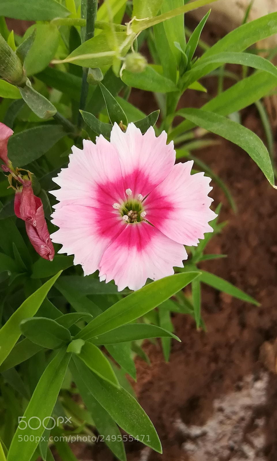 HUAWEI honor 6x sample photo. Untitled photography