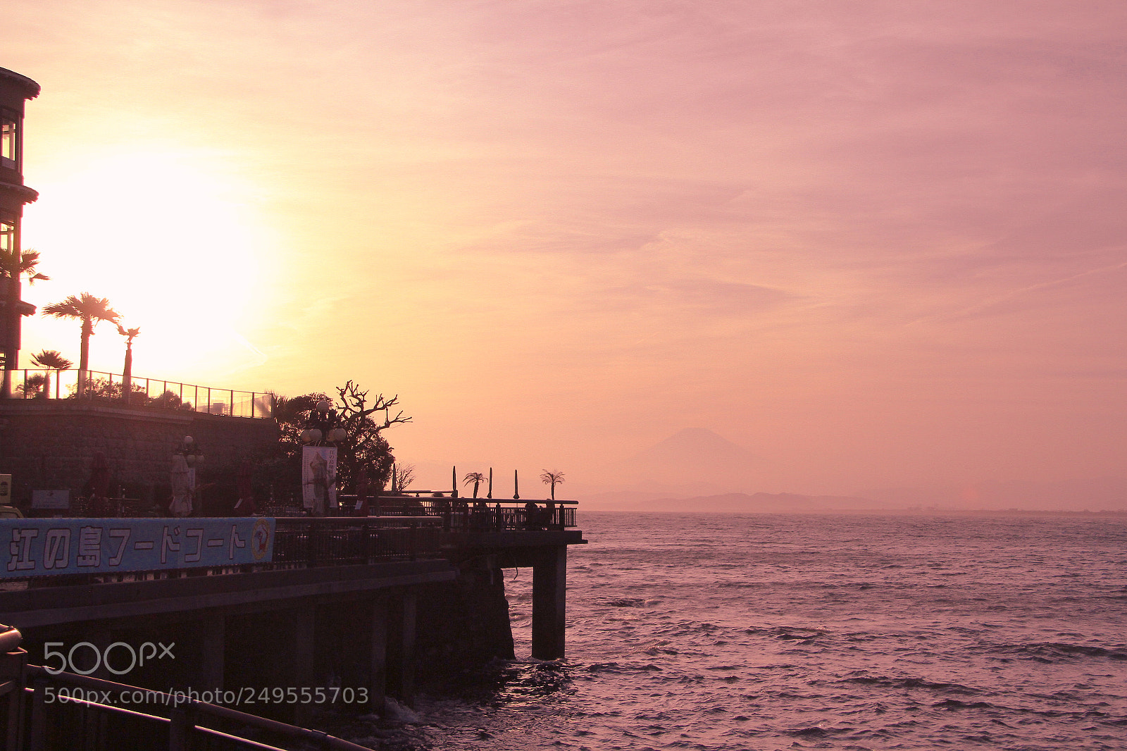 Canon EOS 7D sample photo. 江ノ島 photography