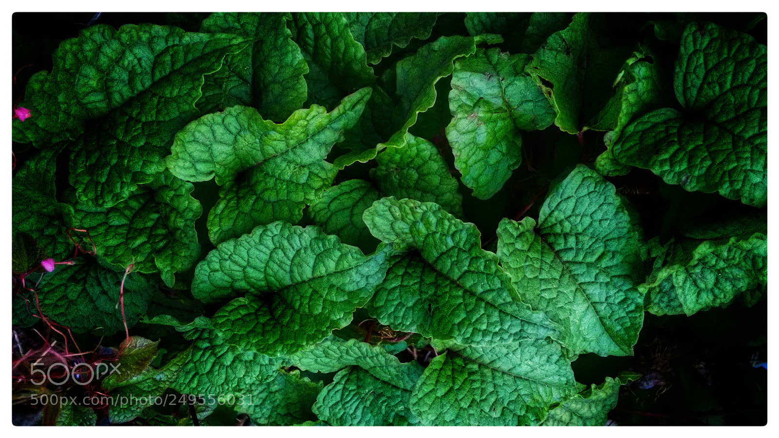 Motorola Moto G (2nd Gen) sample photo. Untitled photography