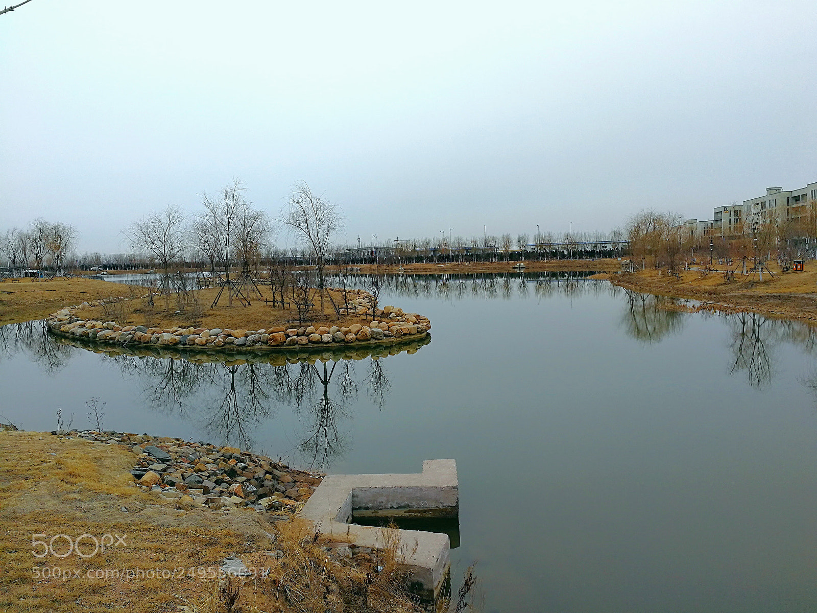 HUAWEI Mate 9 sample photo. 影树，树影 photography