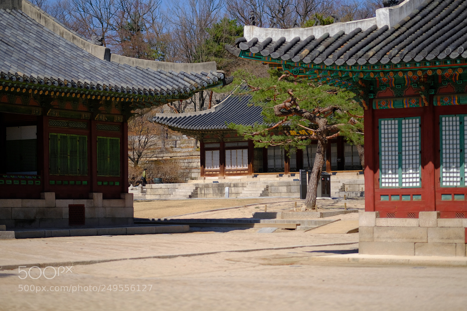 Fujifilm X-Pro2 sample photo. Changgyeonggung palace, 昌慶宮 창경궁 photography