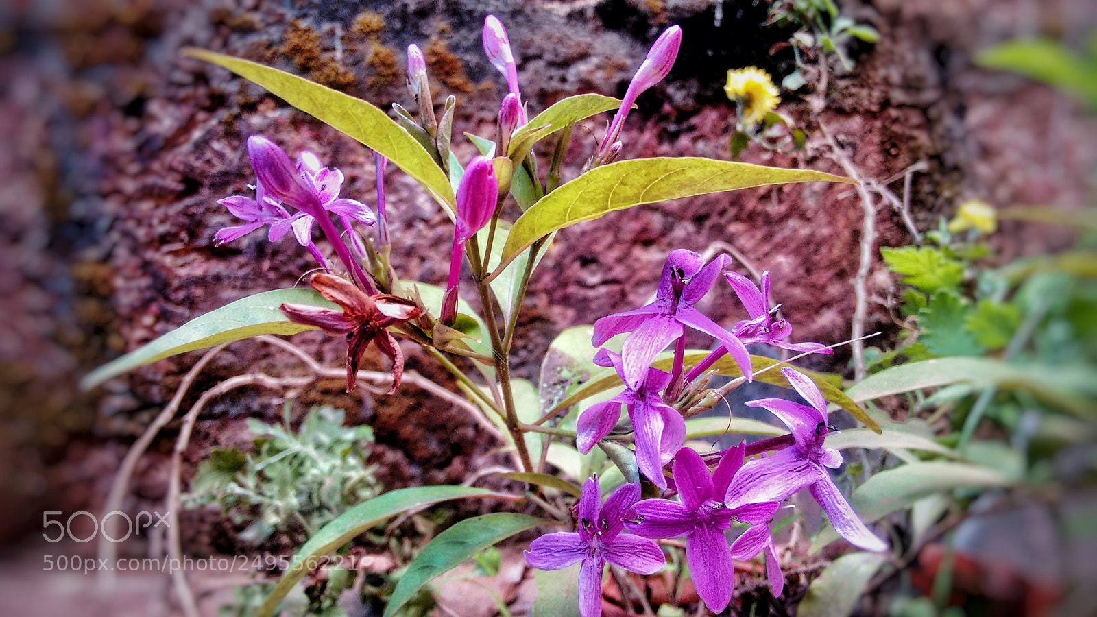 Motorola Moto G (2nd Gen) sample photo. Untitled photography
