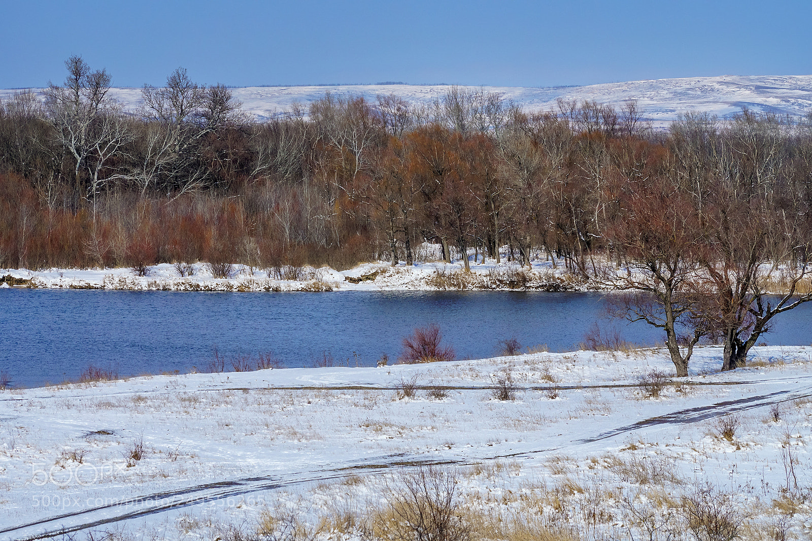 Sony ILCA-77M2 sample photo. Nature of krasnodar region photography