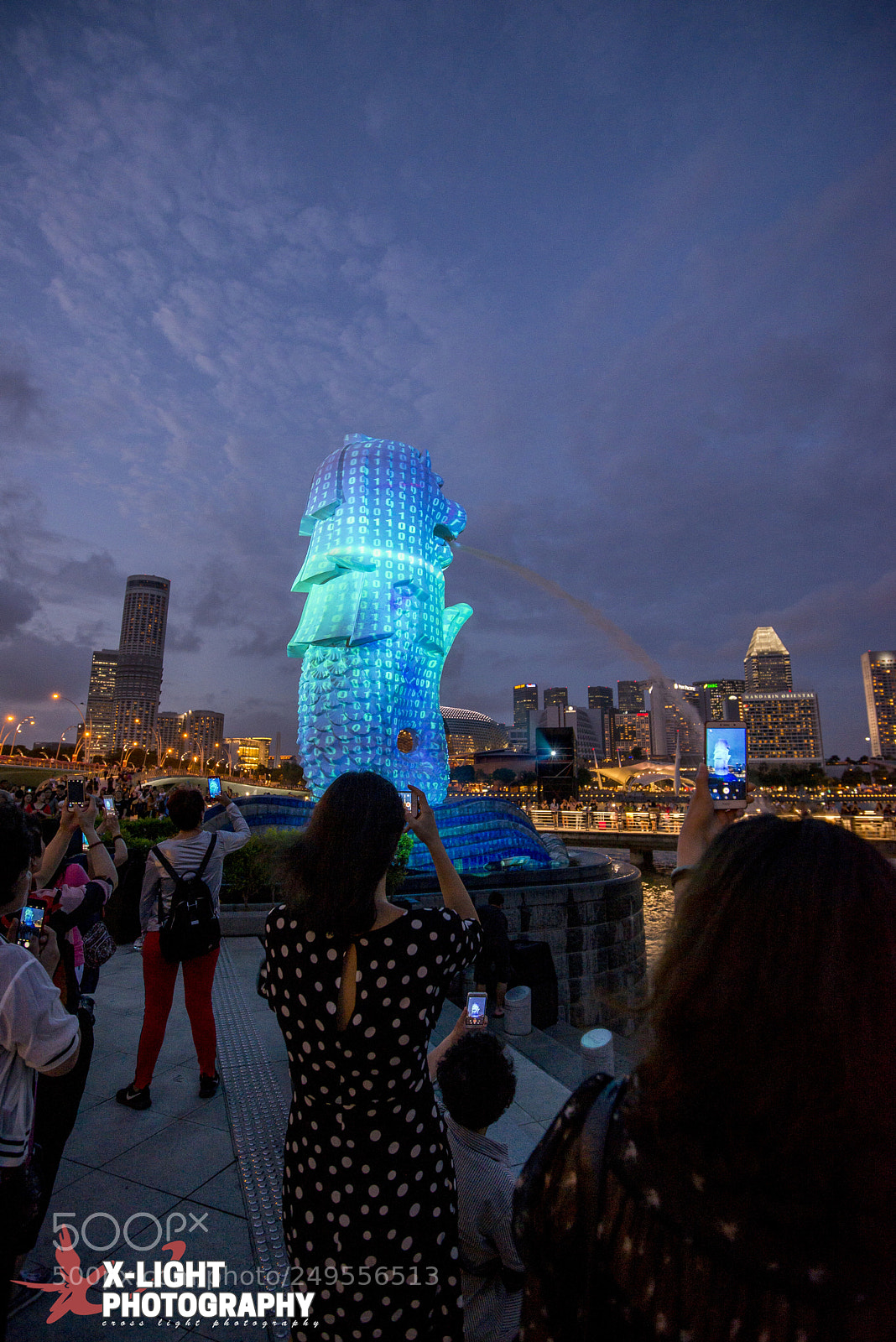 Nikon D610 sample photo. Pimp the merlion photography