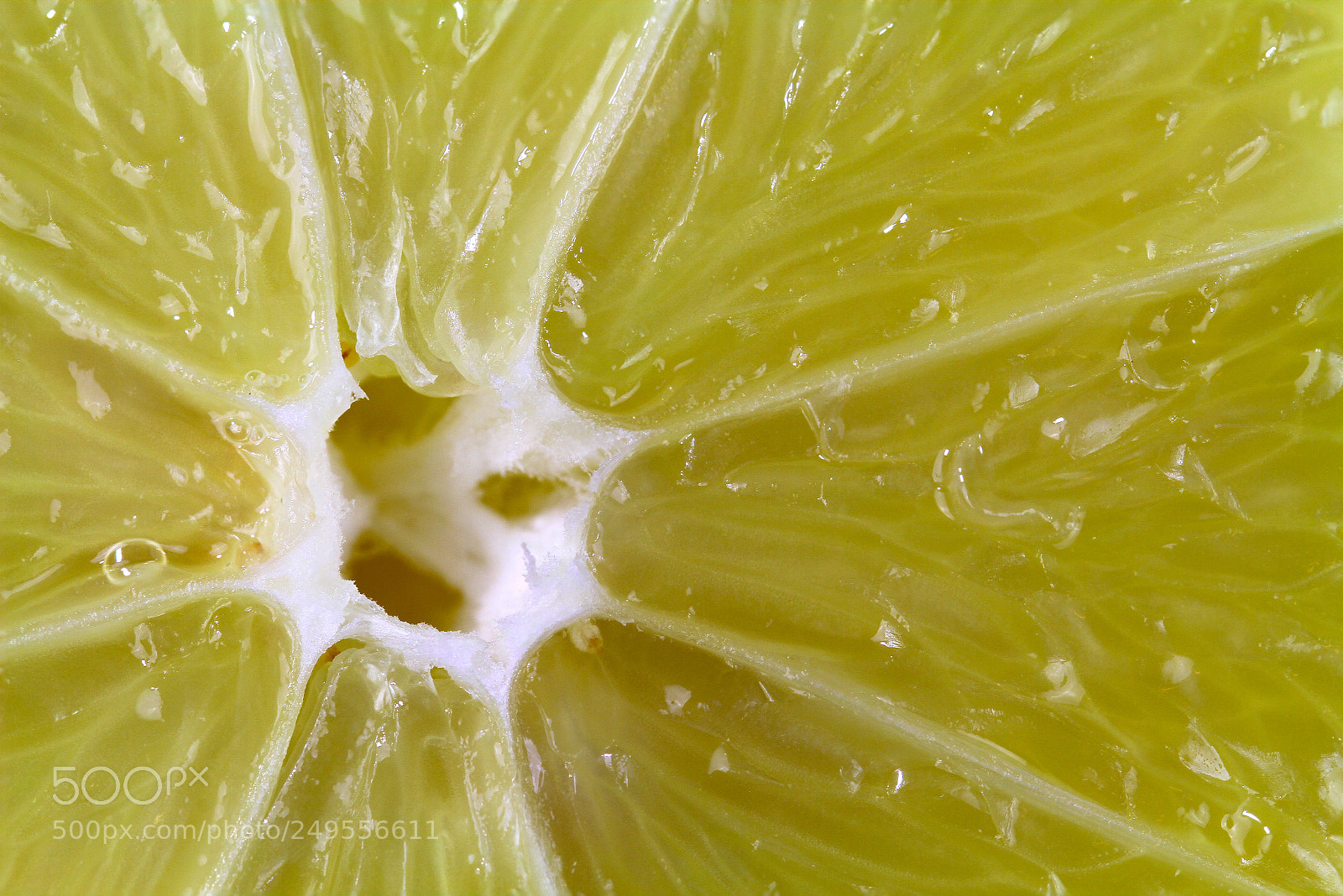Canon EOS 7D sample photo. Lemon cut half macro photography