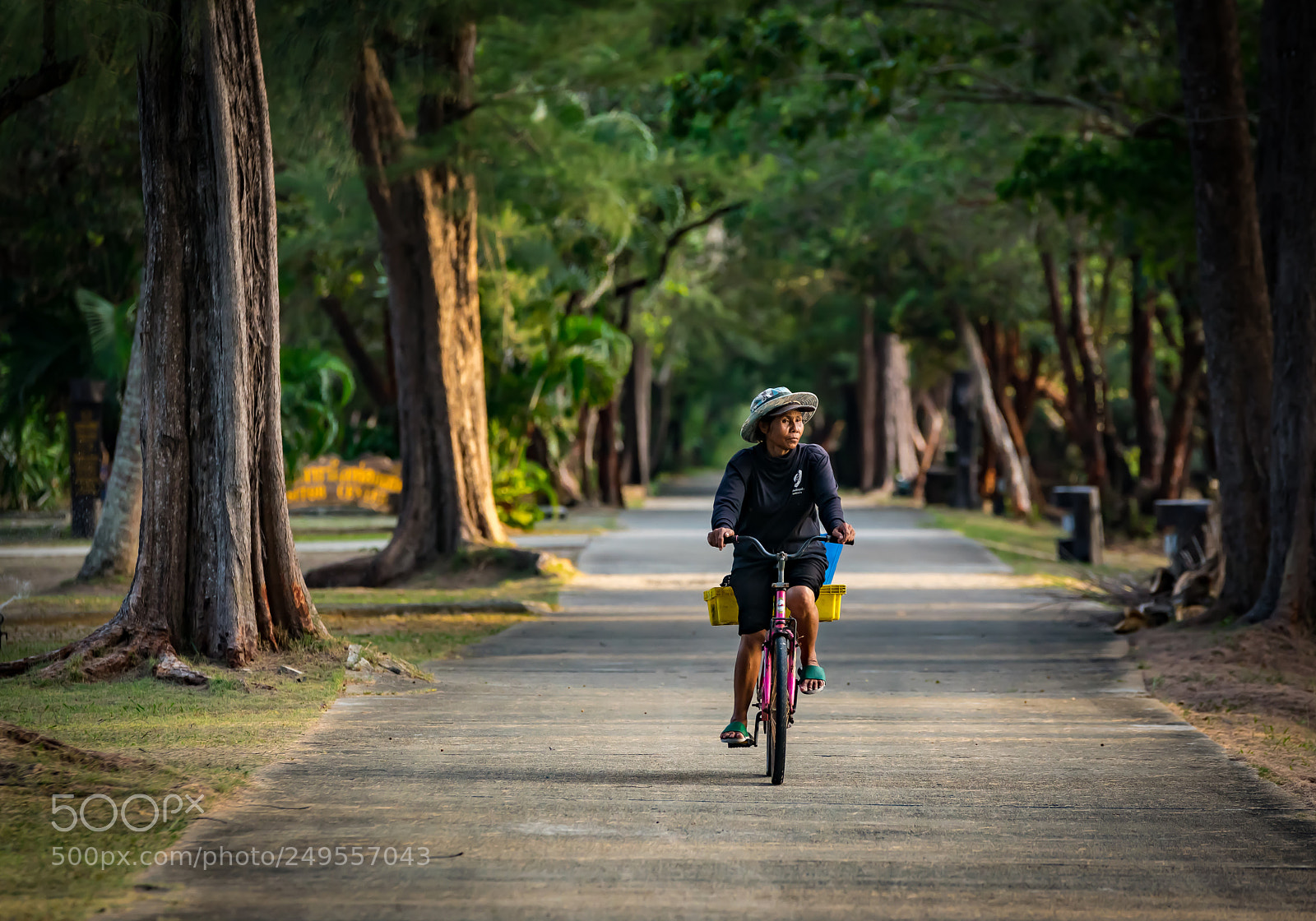 Nikon D5300 sample photo. Local life photography