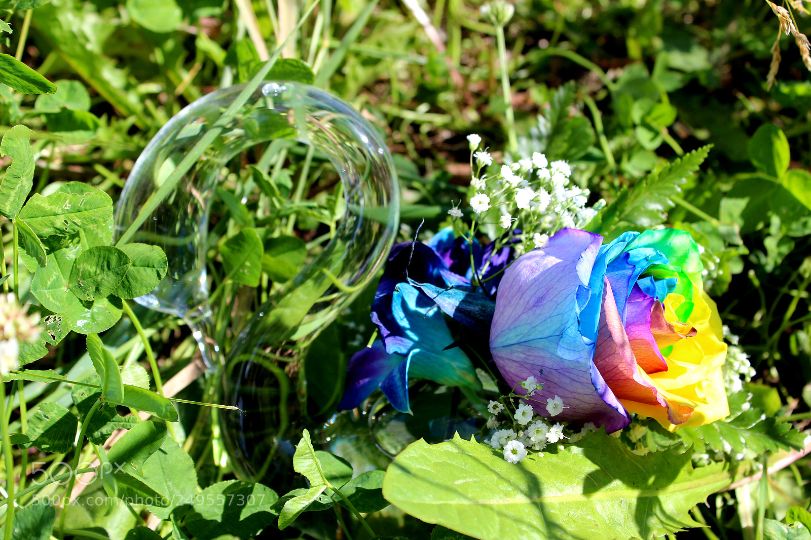 Canon EOS 600D (Rebel EOS T3i / EOS Kiss X5) sample photo. Img photography