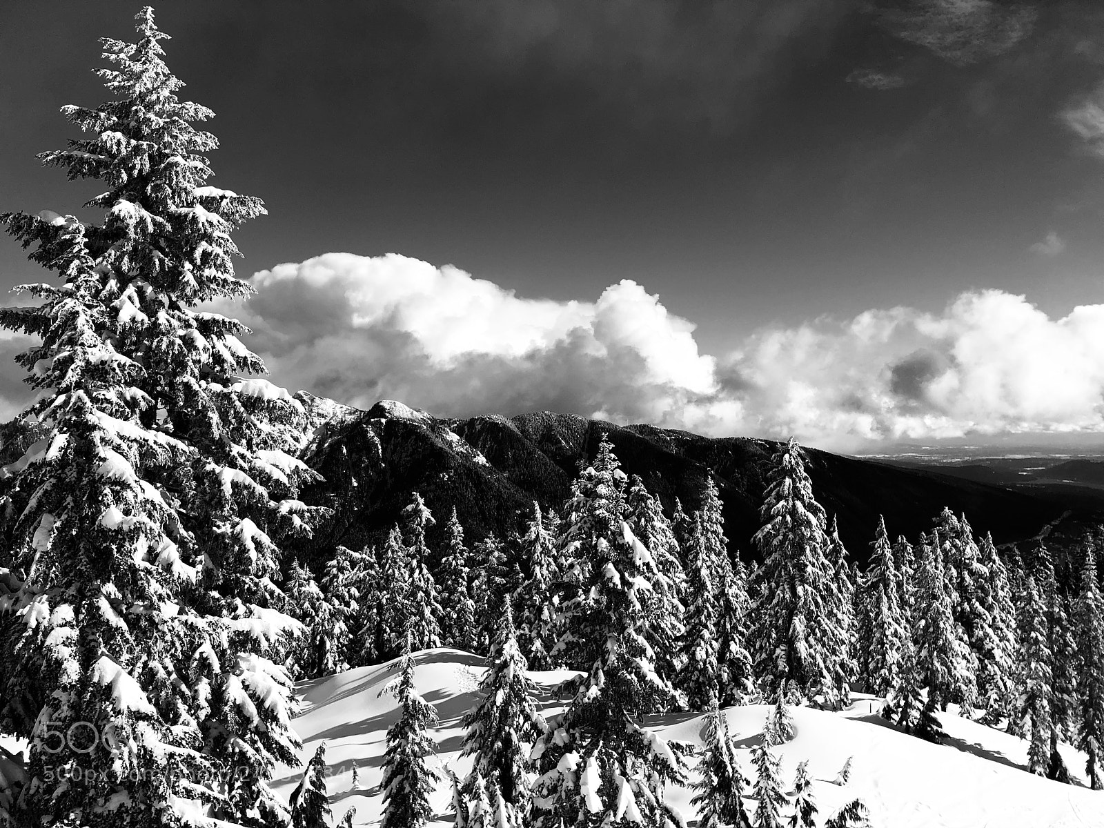 Apple iPhone X sample photo. Cypress mountain views. photography