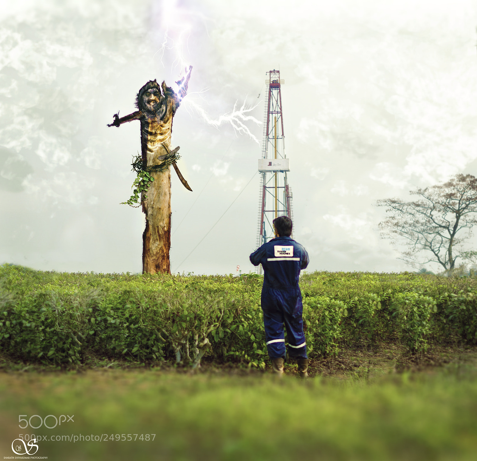 Canon EOS 7D sample photo. Not just a tree photography
