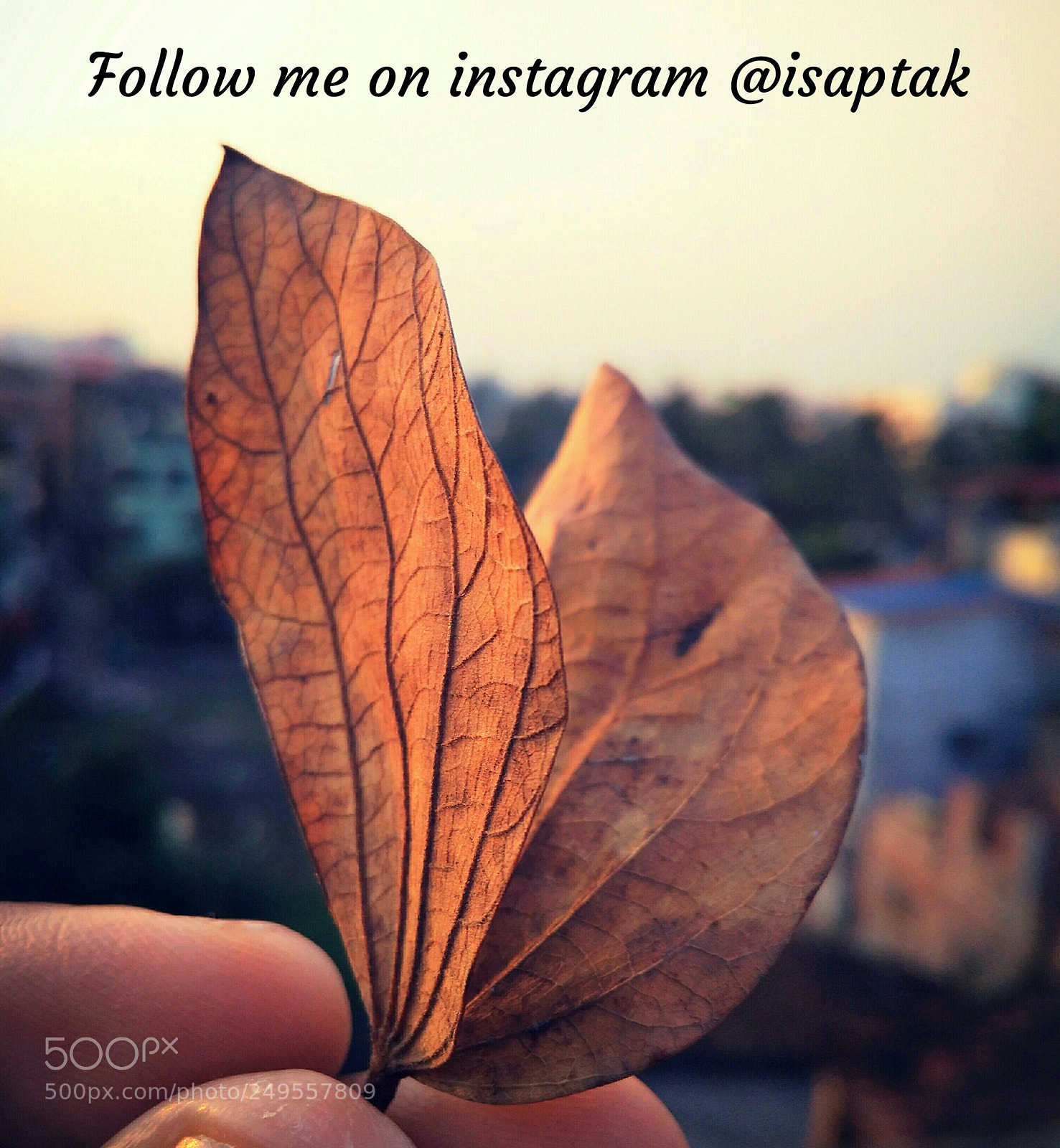 Xiaomi Redmi 4A sample photo. Untitled photography