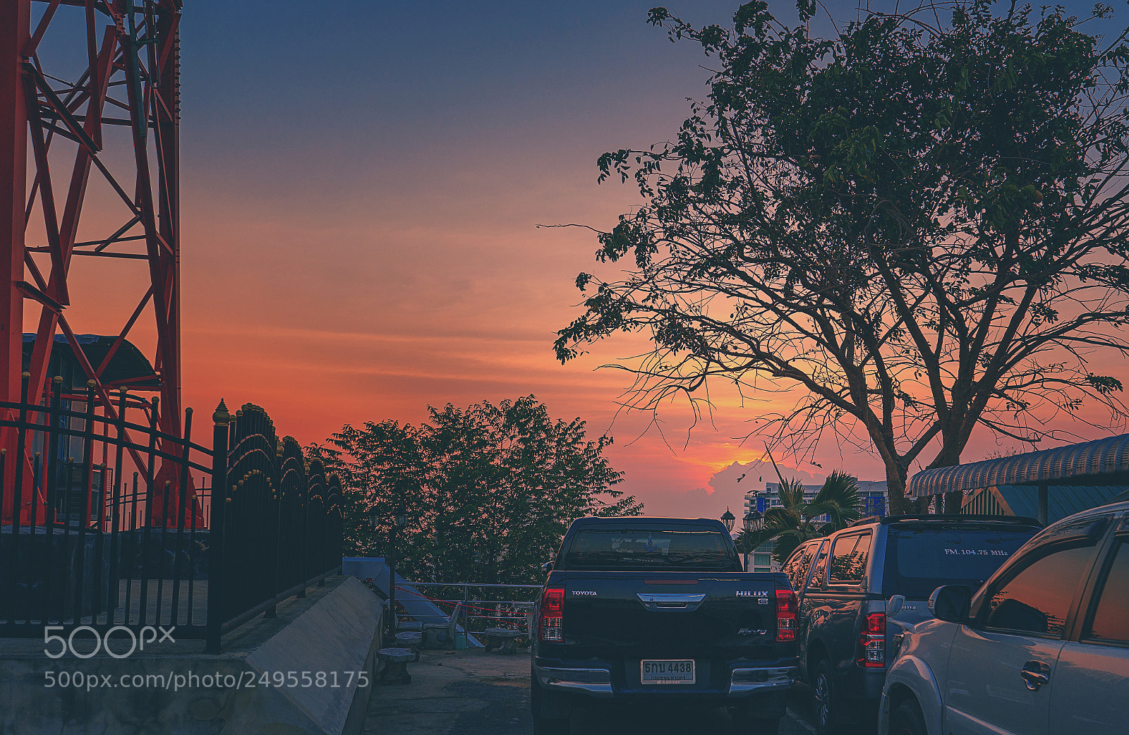 Sony a7 II sample photo. Untitled photography
