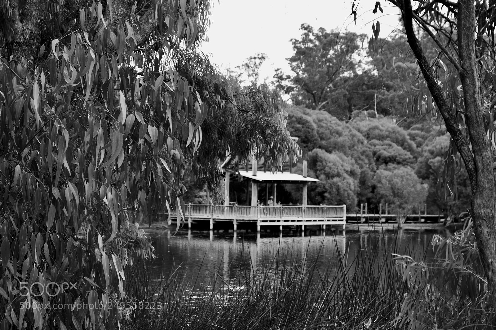 Canon EOS 80D sample photo. The hut on the photography