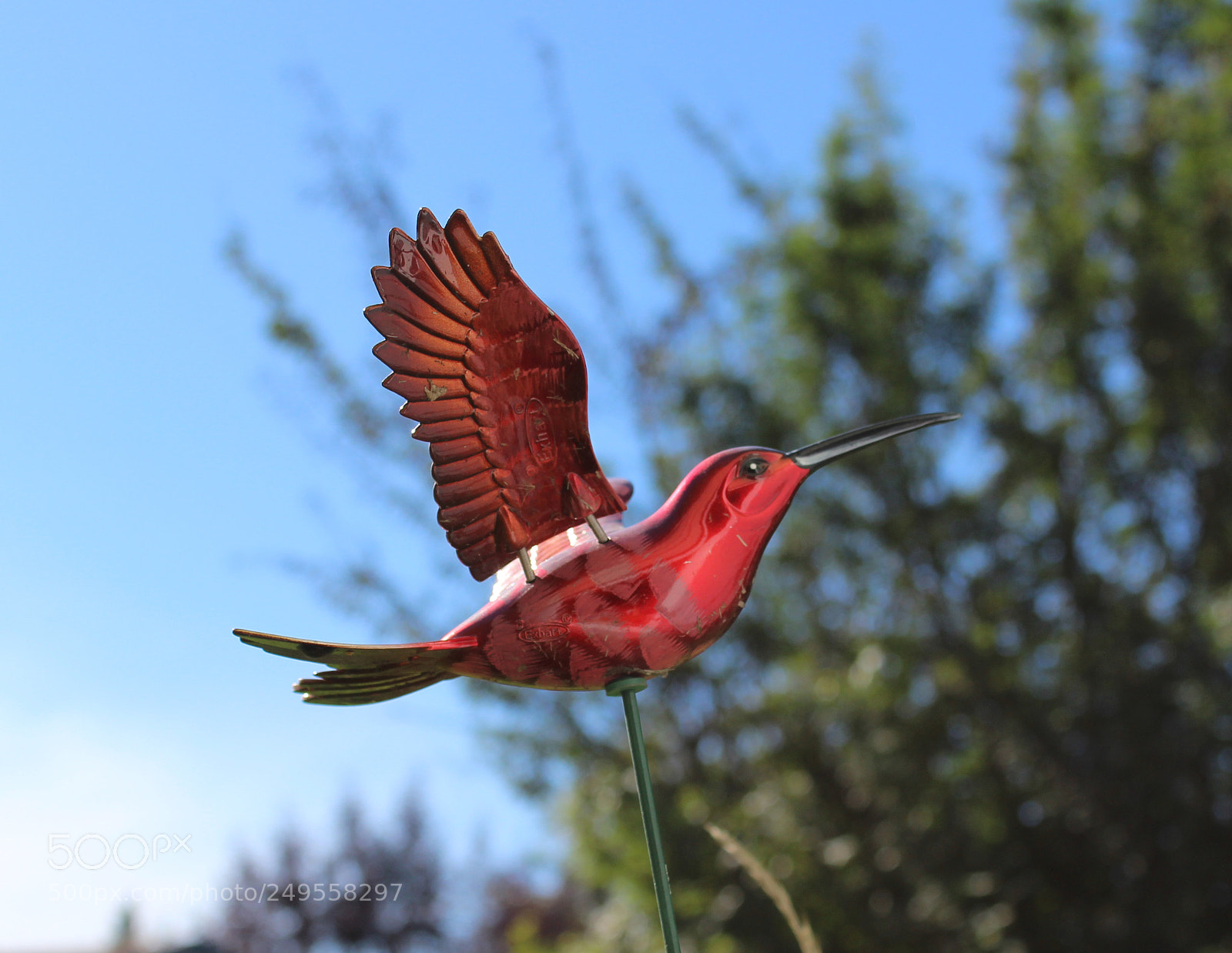 Canon EOS 600D (Rebel EOS T3i / EOS Kiss X5) sample photo. Img photography