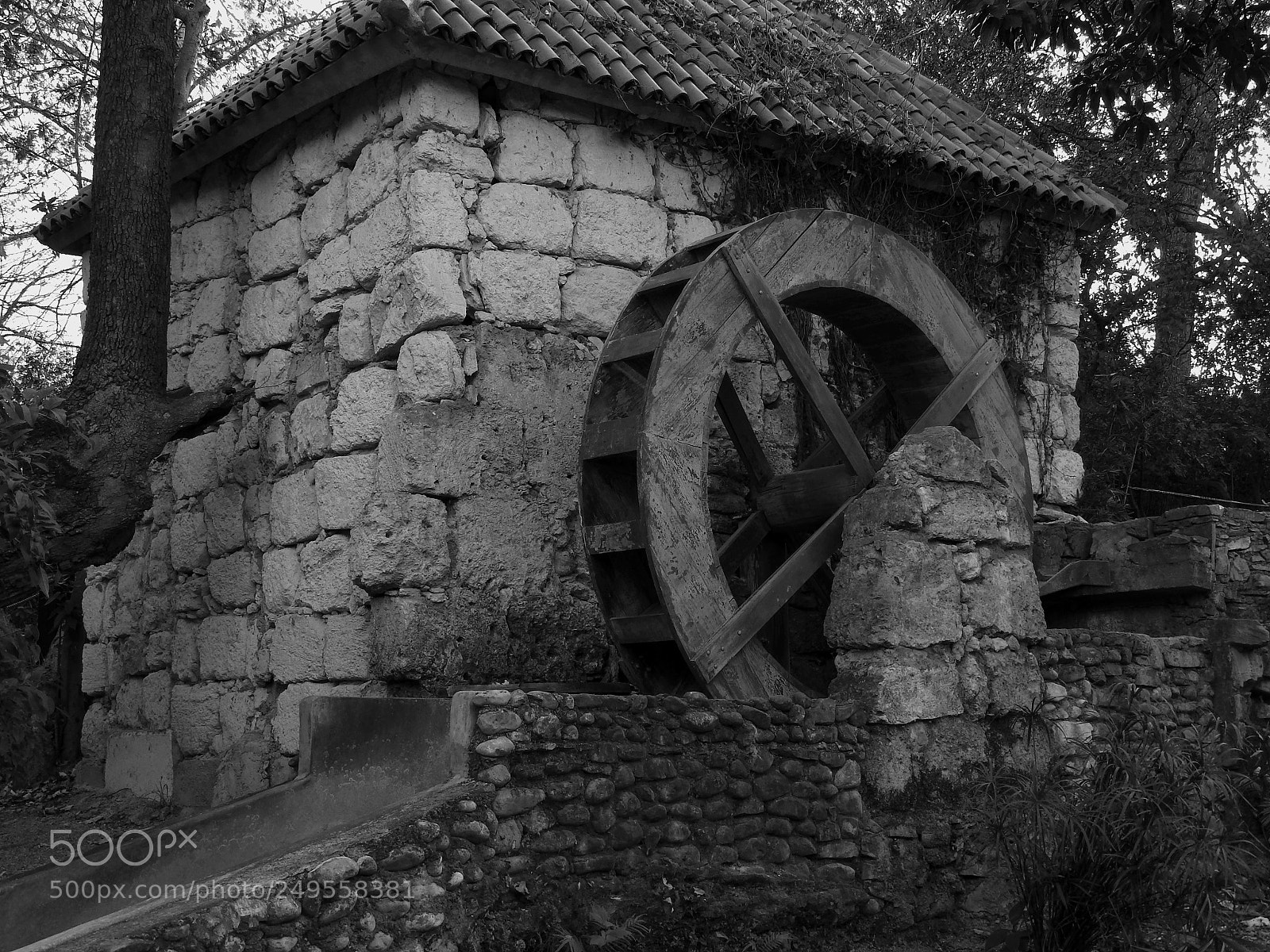 Nikon Coolpix P610 sample photo. The old watermill photography