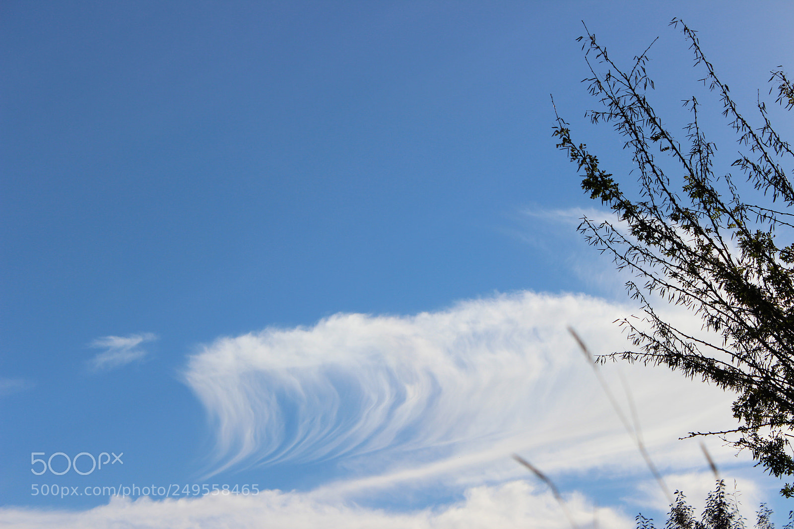 Canon EOS 600D (Rebel EOS T3i / EOS Kiss X5) sample photo. Img photography