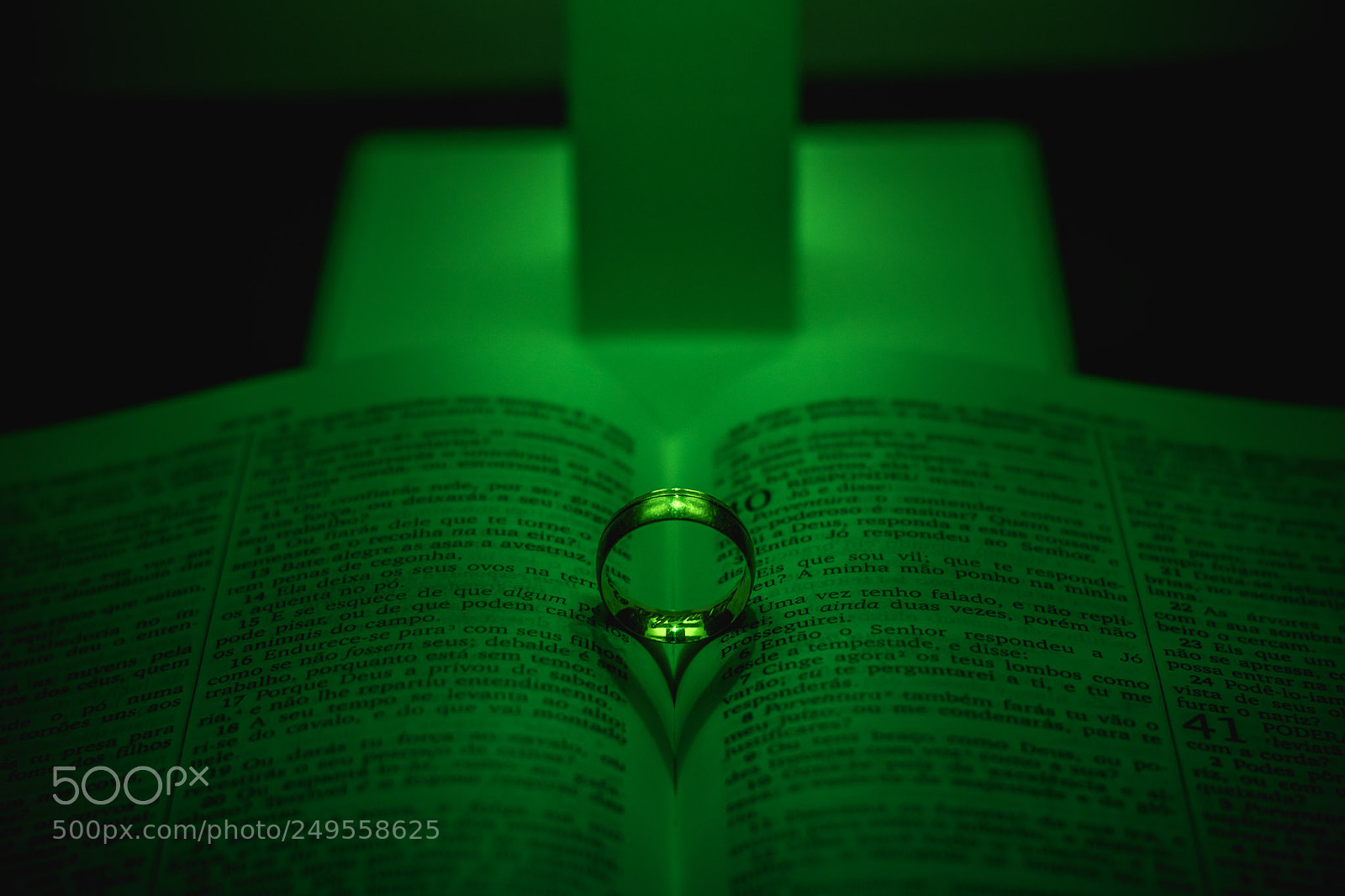 Nikon D5500 sample photo. Bíblia sagrada photography