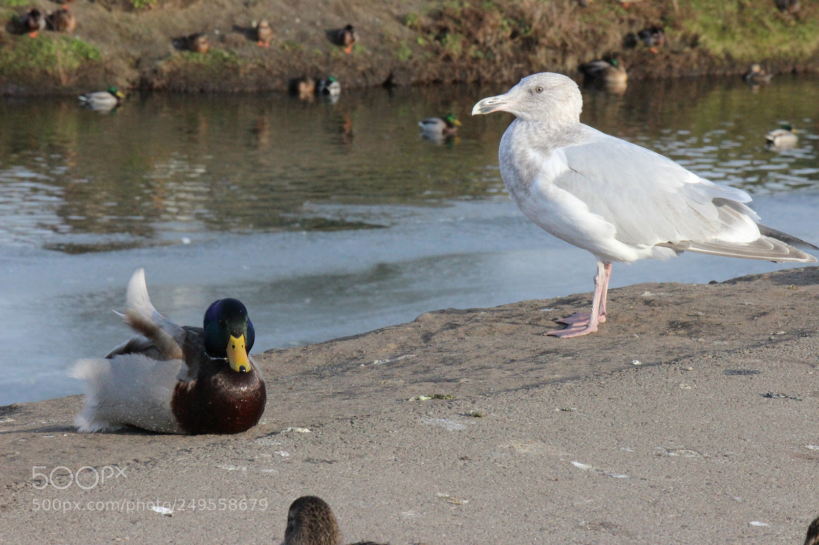 Canon EOS 600D (Rebel EOS T3i / EOS Kiss X5) sample photo. Img photography