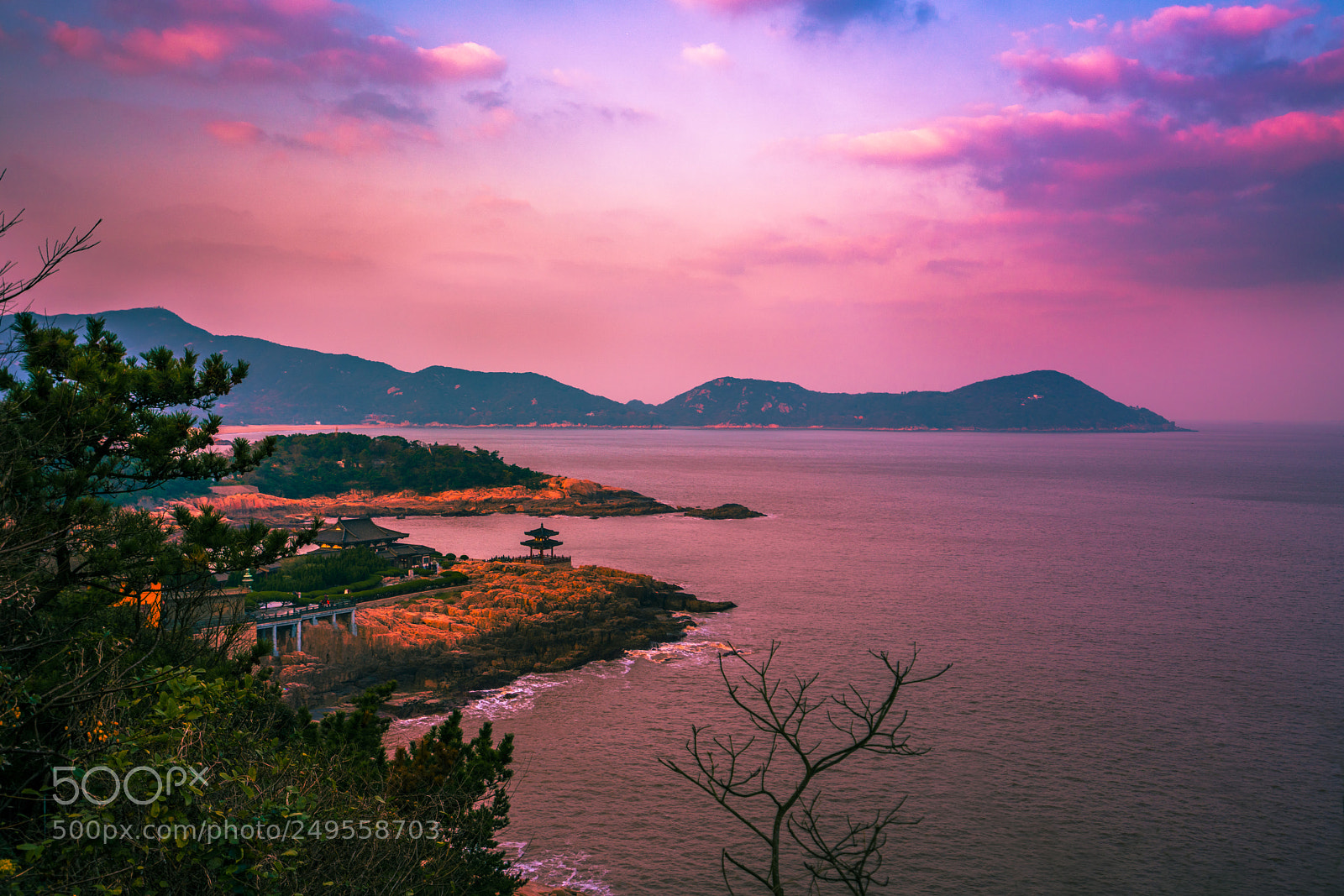Sony a7R II sample photo. Putuoshan, zhejiang, china photography