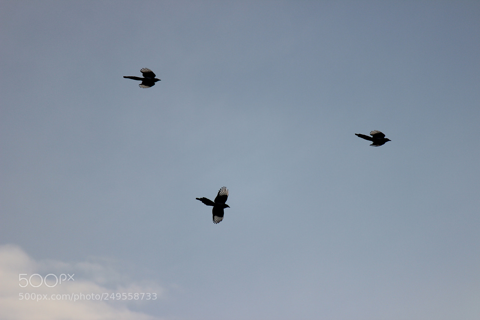 Canon EOS 600D (Rebel EOS T3i / EOS Kiss X5) sample photo. Img photography