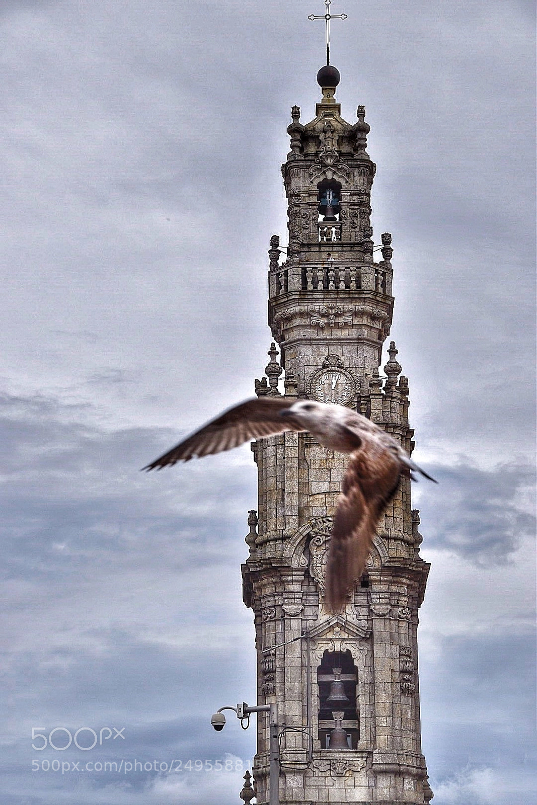 Nikon D5500 sample photo. Clérigos tower photography