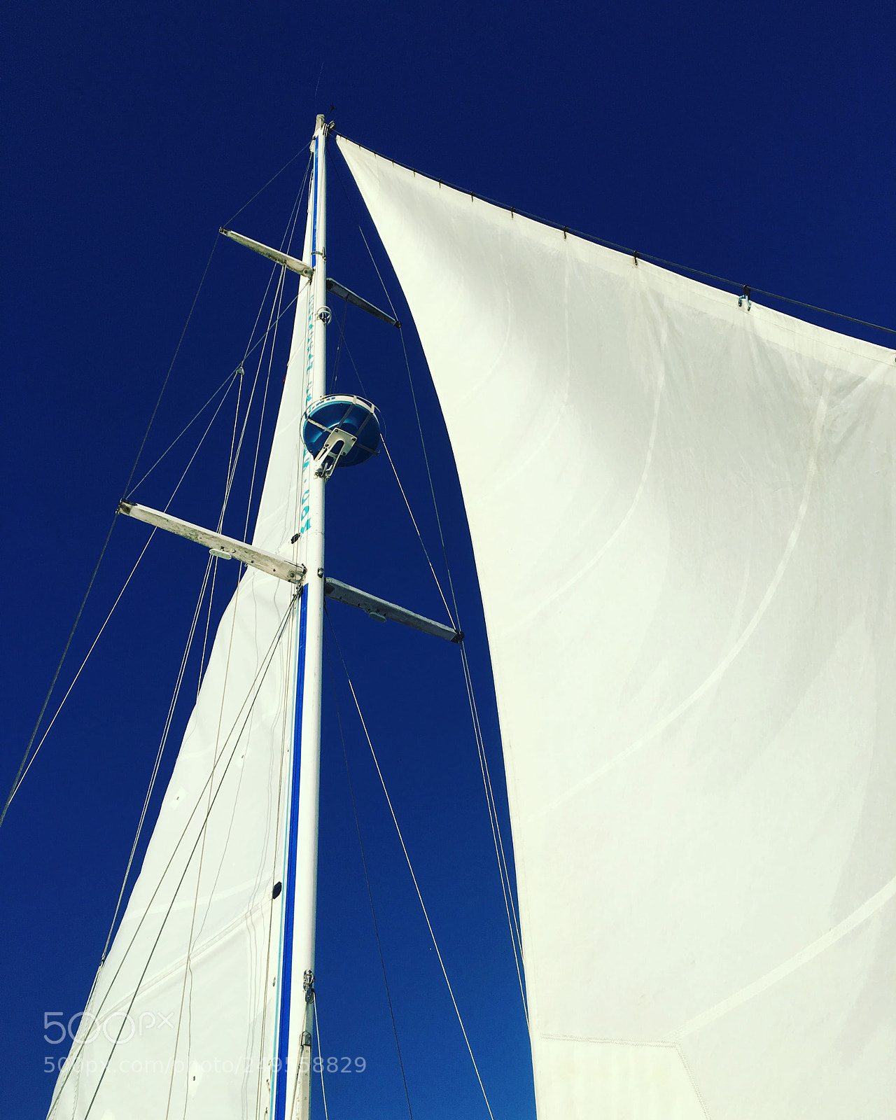 Apple iPhone 6s Plus sample photo. Sail photography