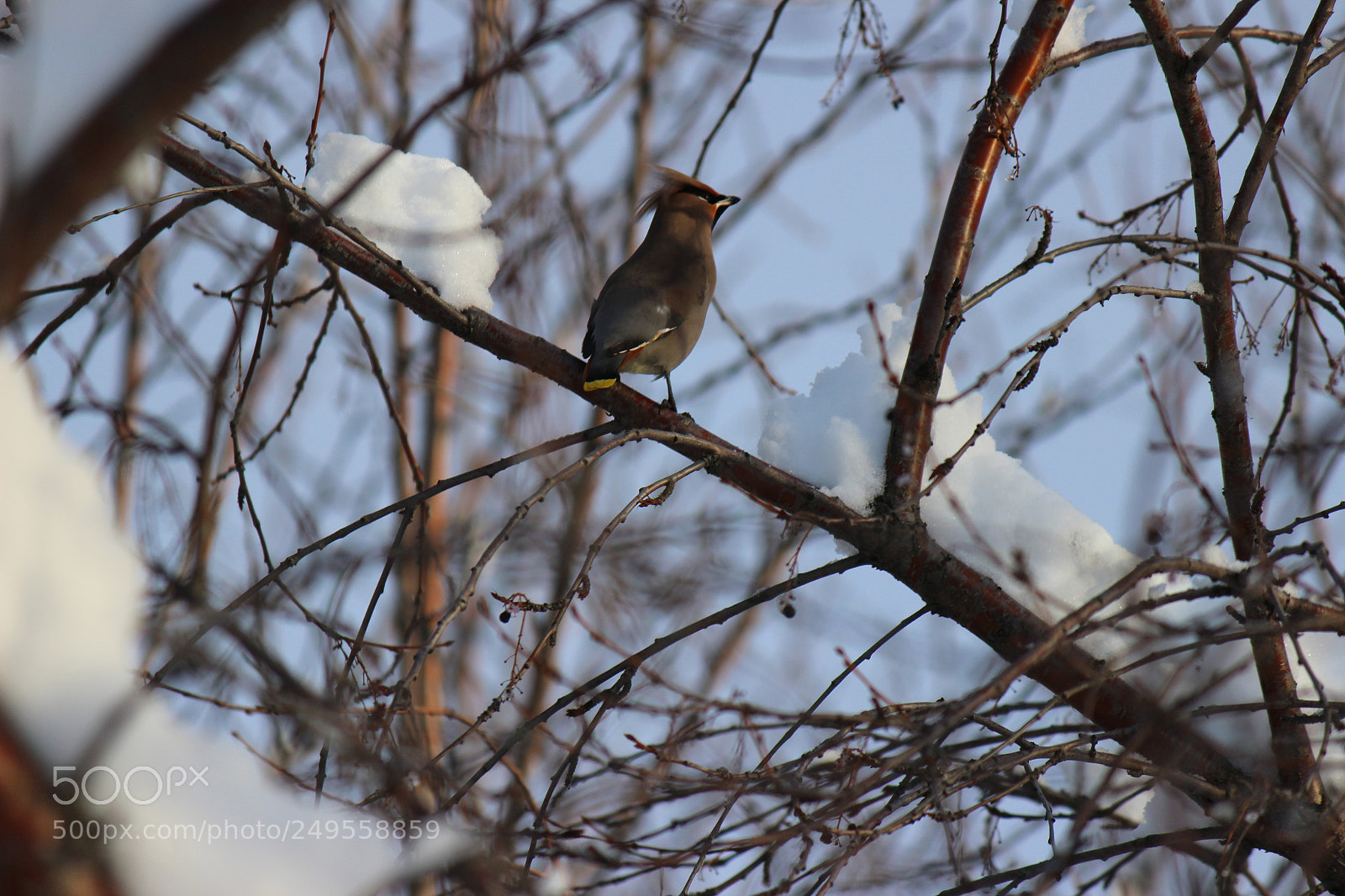 Canon EOS 600D (Rebel EOS T3i / EOS Kiss X5) sample photo. Img photography