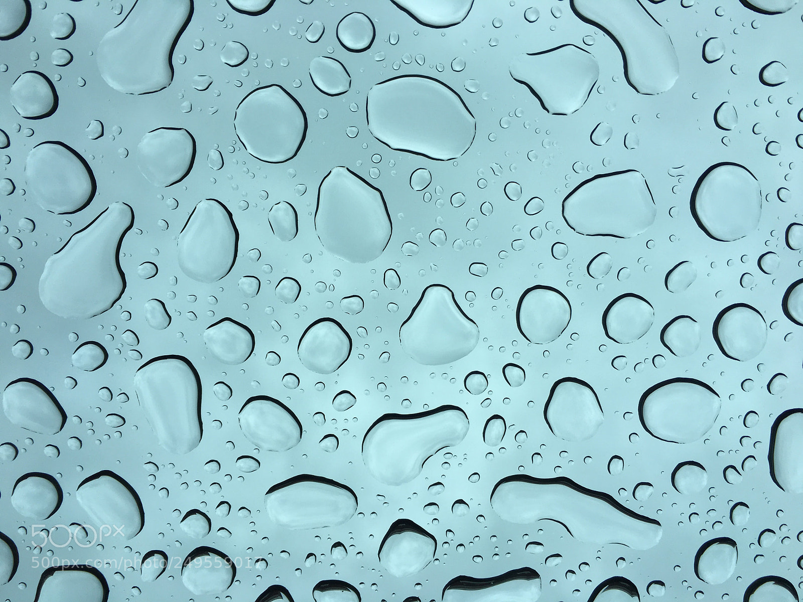 Apple iPhone 6s Plus sample photo. Rain on window photography